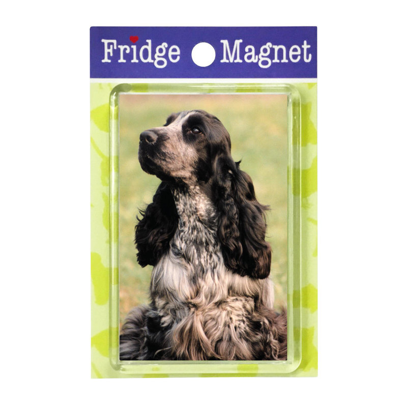 Fridge Magnet