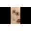 Set Of 2 Spindles Sculpture