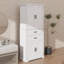 Armoire de rangement multifonctionnelle pour la cuisine, la salle de bain, la salle à manger et le salon avec 2 tiroirs sur rails et une tablette réglable-2144577230