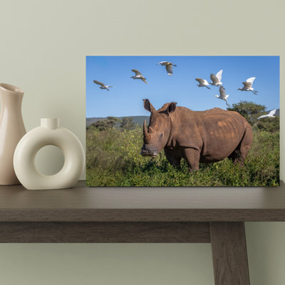 African Rhino And Birds Abstract Contemporary Bird Landscape Nature Wall Art Print 1 Piece Wrapped Canvas Wall Art