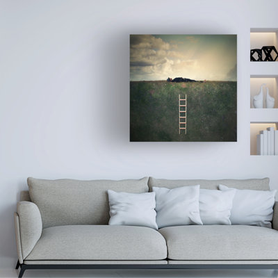 Radovan Skohel Man Lies Canvas Art