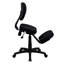 Chaise de bureau ergonomique Woodmansee
