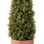 Topiaire faux buis en pot-1799157053