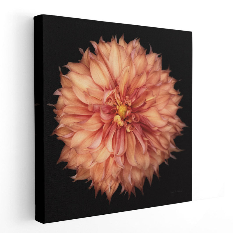 Dahlia I - reproduction d'art sur toile, H 12 po x l 12 po