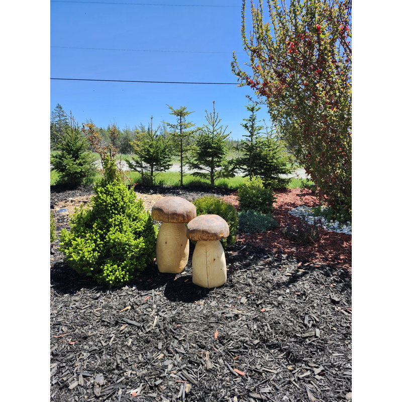 Champignons d'extérieur en bois