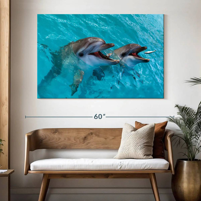 Brampt Cute Dolphins, 34" H x 51" W