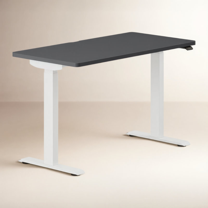 Duo Standing Desk, Charcoal, White, 47.3" H x 48" W x 24" D