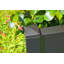 Planter Box-49293175