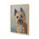 Reproduction d'art avec portrait animalier III par Marian Parsons