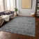 Machine Washable Indoor/Outdoor Christain ACN1228 Gray Rug