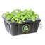 Trousse horticole Oxyclone