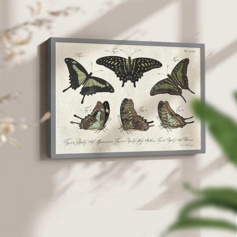 Crackled Butterflies II -Framed Print - Restickable, H 8 po x l 10 po, Gris