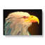 Geometric Bald Eagle Bird In Abstract - Wrapped Canvas Painting-55316066