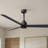 Alessandra 56'' Ceiling Fan-1813772026-1813771990