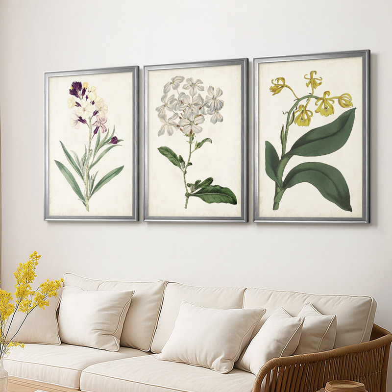 Antique Botanical Collection VII - Toile tendue avec châssis sur mesure - 3 pièces, Argent argent, H 21 po x l 30 po