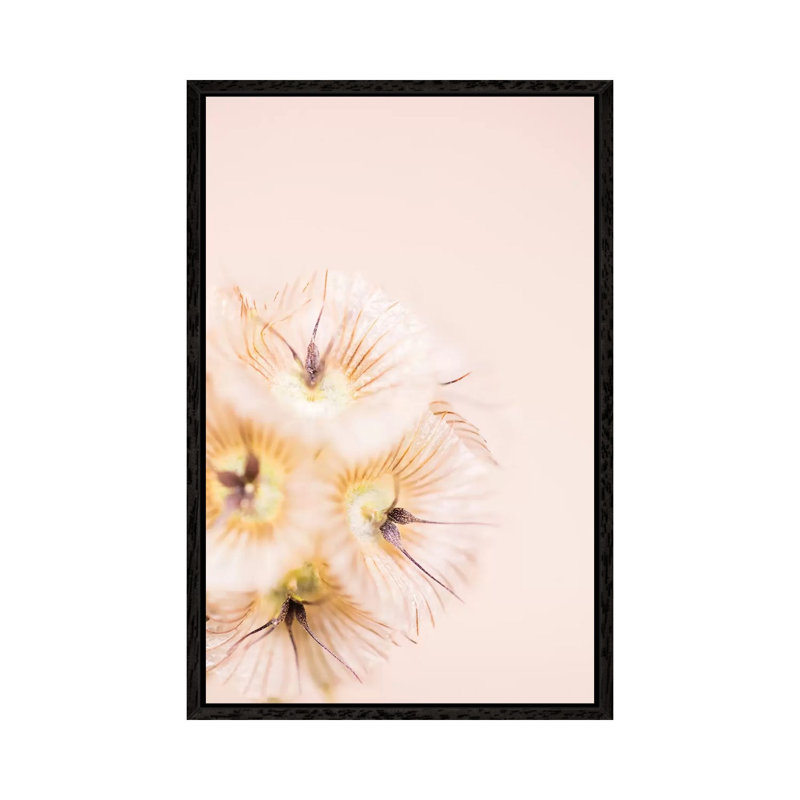 Bleach Blonde III by Renée Stramel - Gallery-Wrapped Canvas Giclée on Canvas, 66.04 cm H x 45.72 cm W, Black Framed