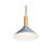 Emblem 1 - Light Single Pendant-74747934-94655711-107231802