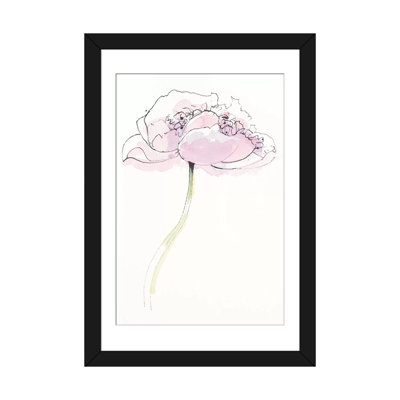 " Single Pink Somniferum II " by Shirley Novak