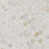Polished Calacatta Gold