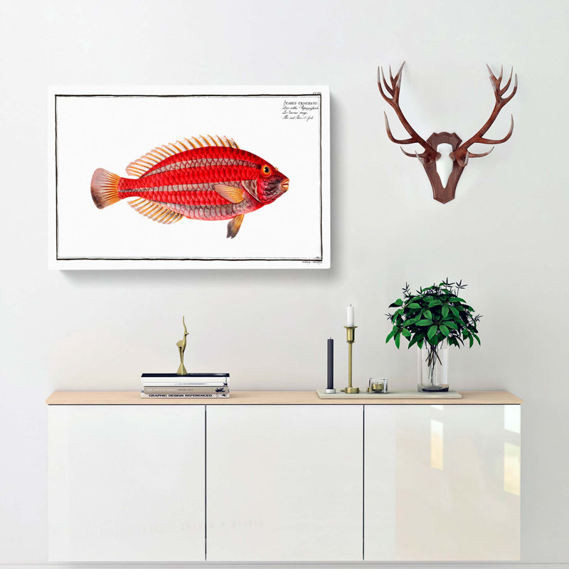 Parrot-Fish by M.E. Bloch - Wrapped Canvas Painting, 35cm H x 50cm W x 3cm D