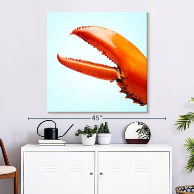Brampt Red Lobster Claw