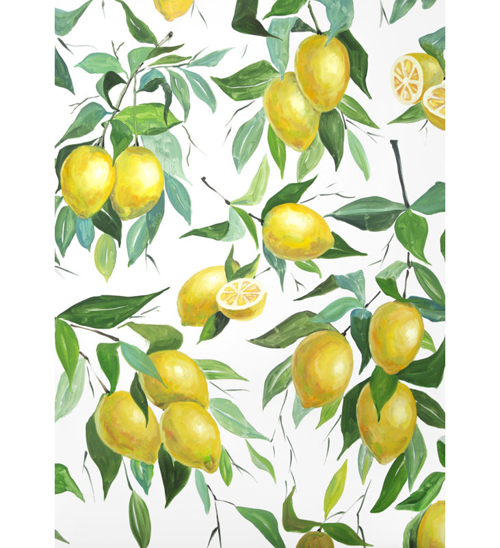 Lemon Pattern Food Green Framed Canvas | Home Decor Art