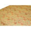 Hand Knotted Area Rug in Camel