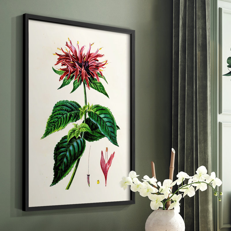 Reproduction encadrée de floral antique I - bois massif, Noir, H 28 po x l 22 po