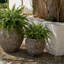 Ramsey Planter Pot-1815407549-1815407548
