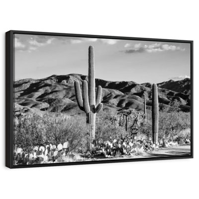 Black Arizona - Tucson Desert Cactus