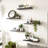 Riek 5 Piece Floating Shelf-826149875-826149872