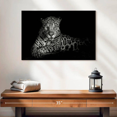 Brampt Blue Eyes Jaguar