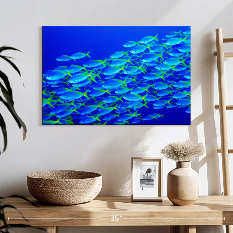 School Of Snapper Fish, 16" H x 24" W