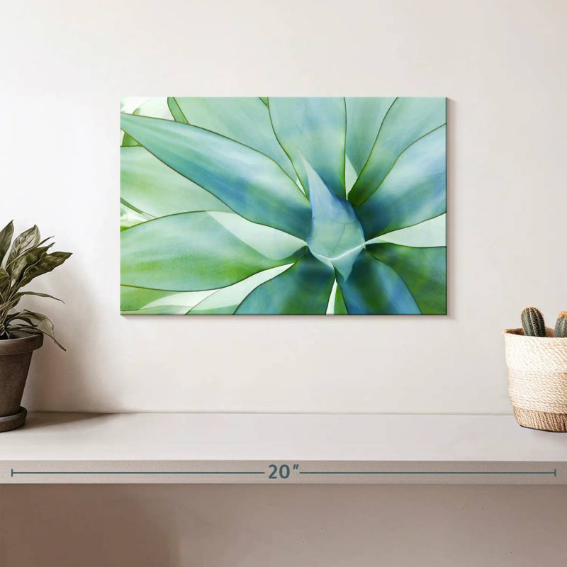 Harnek, feuilles d'agave, H 8 po x l 12 po
