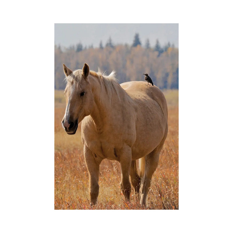 Hitching a Ride I 1 Piece Wrapped Canvas Wall Art, 66.04 cm H x 45.72 cm W x 1.91 cm D