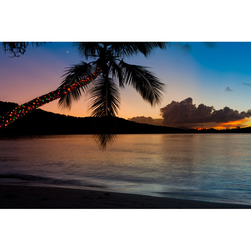 Plage des Caraïbes par CDheatley, H 32 po x l 48 po