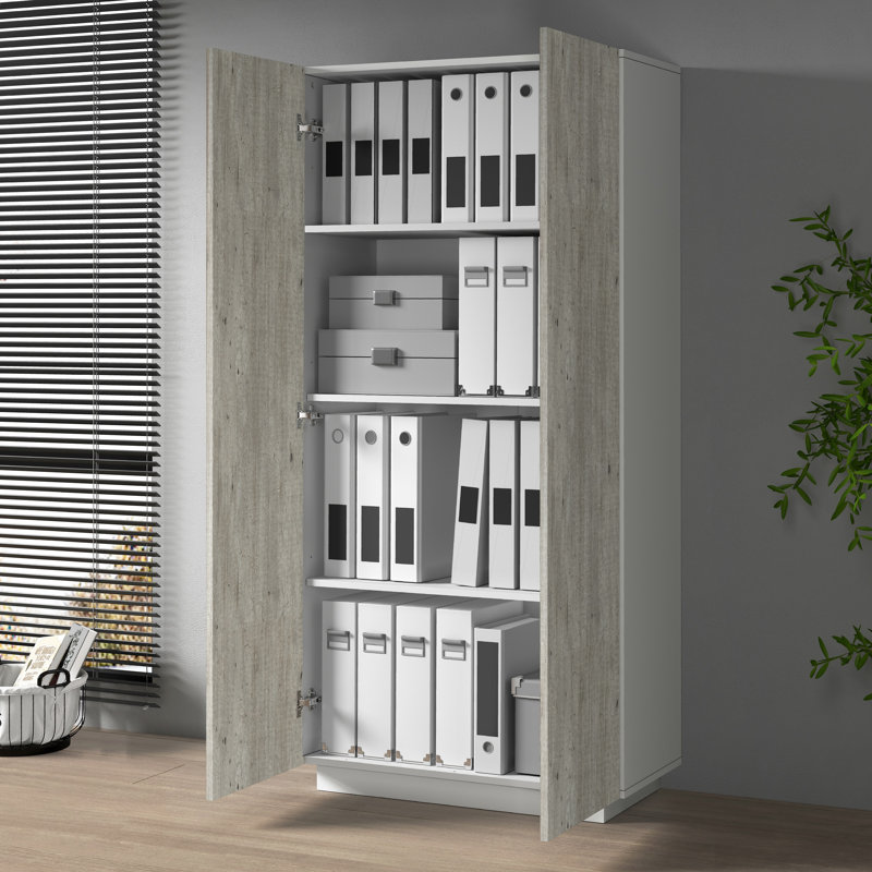 Sawaira 2 -Door 3 -Shelf Storage Cabinet