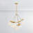 Duxbury 5 Light Chandelier