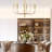 Exzavion 8 - Light Dimmable Classic / Traditional Chandelier-1945264649