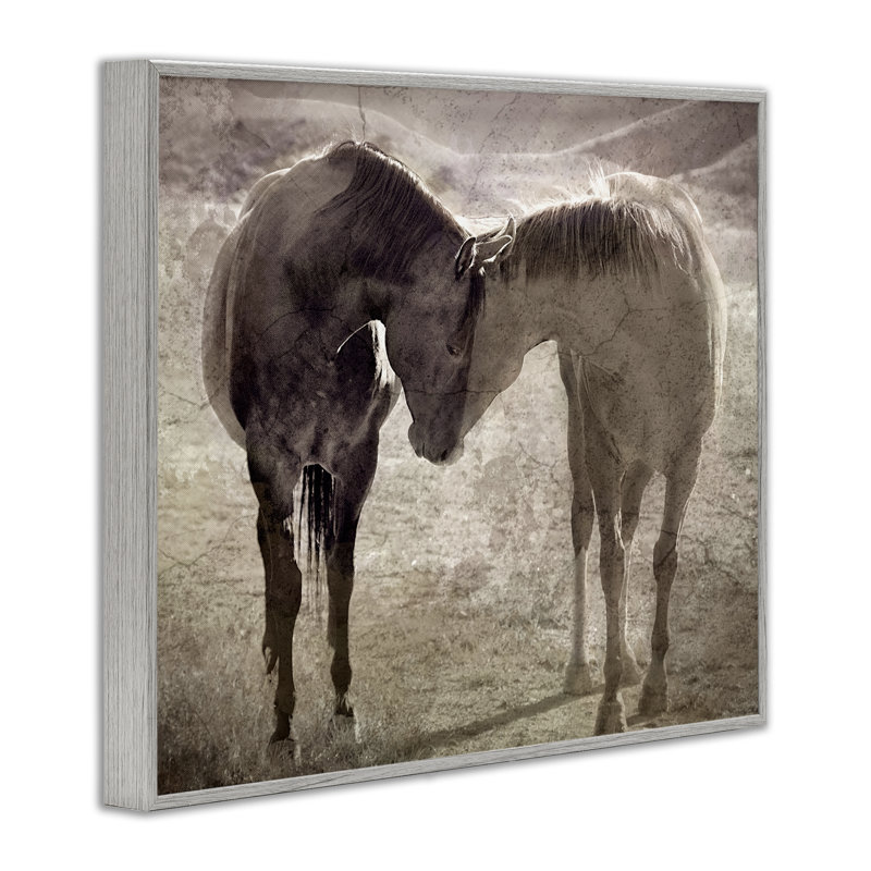 Paire de chevaux en sourdine, giclée encadrée, design par Steve Toole, H 24 po x l 30 po, Estampe numérique Farmhouse