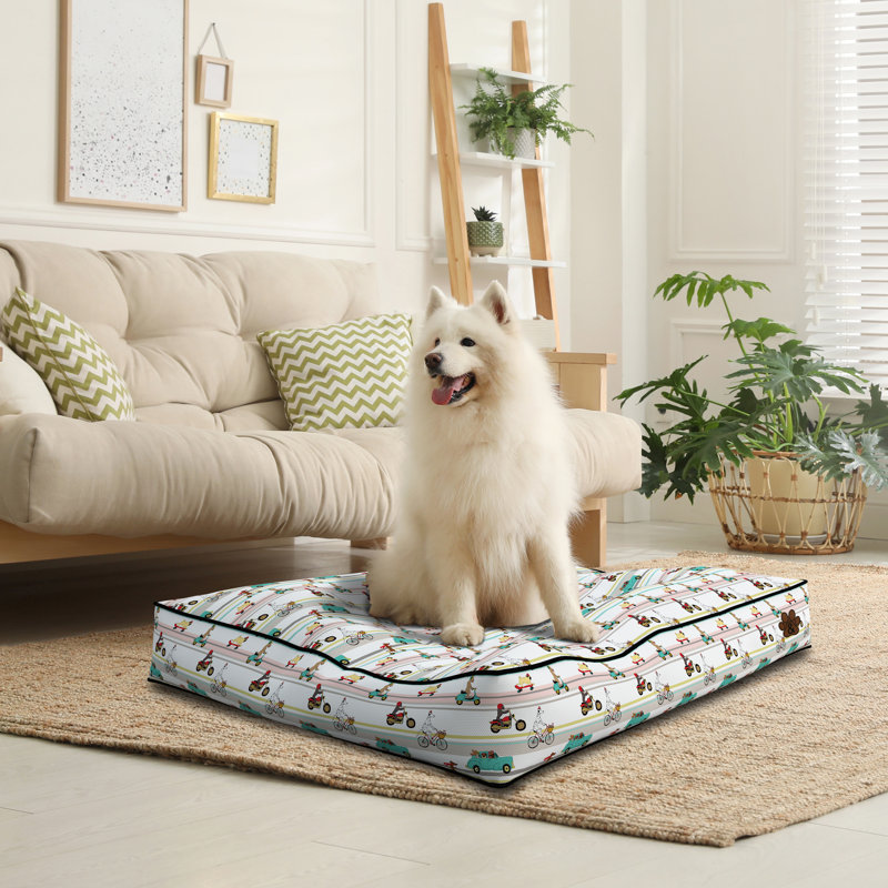 Polyester Pet Bed, Small (68.6cm W x 50.8cm D x 10.2cm H)
