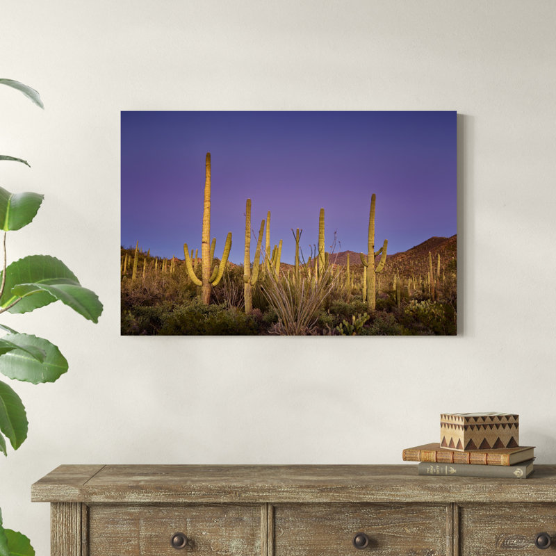 " Cacti View I " by David Drost, 24" H x 36" W x 1.25" D