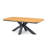 Breelyn Oval 8 - Person 220Cm L Outdoor Table