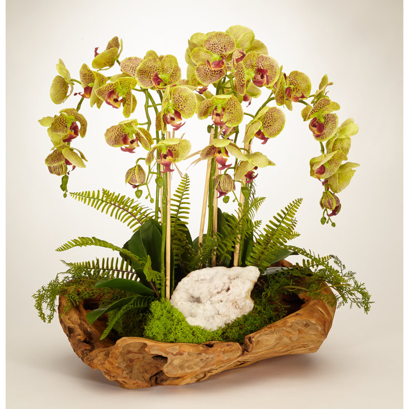 Orchid Centerpiece in Planter, Green