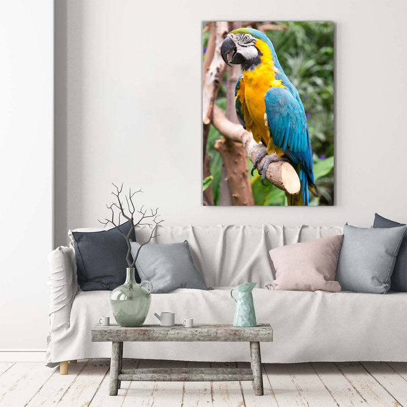 Ara Parrot - Wrapped Canvas Print