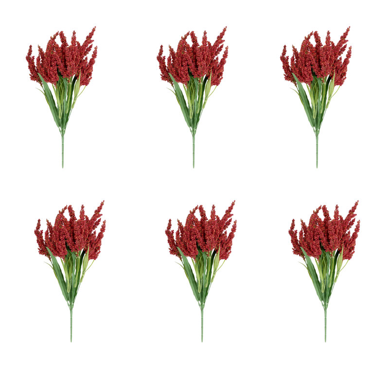 Fausse tige de bruyère, Rouge