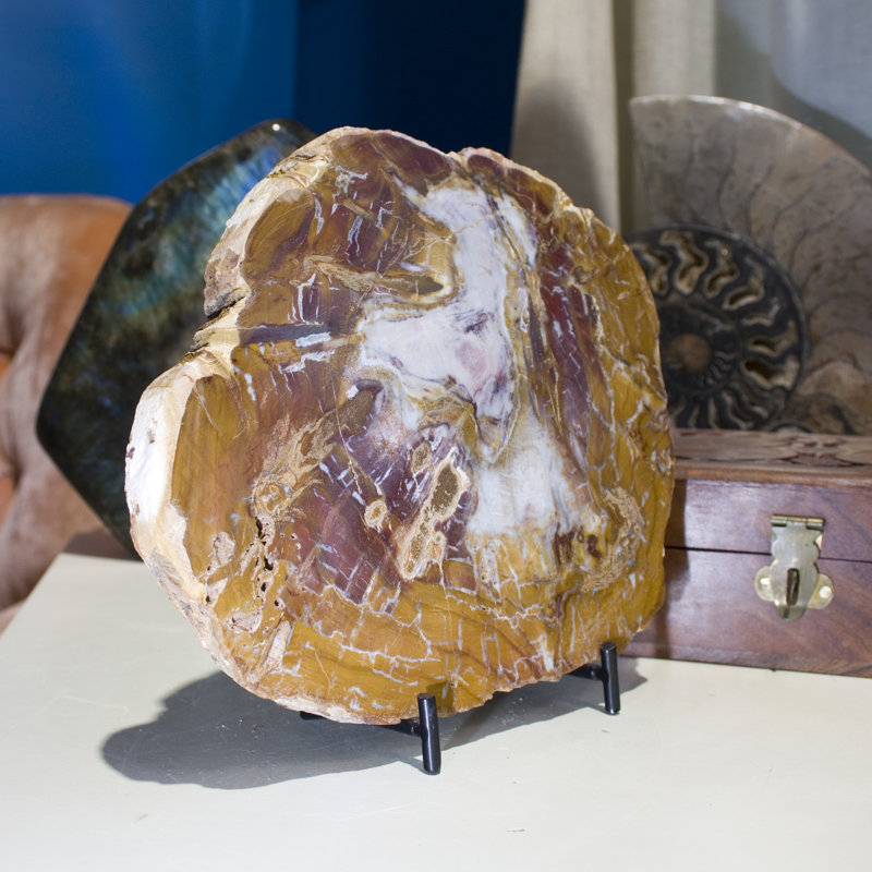 Figurines et sculptures Latwon