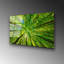 Boze Wall Decor on Tempered Glass