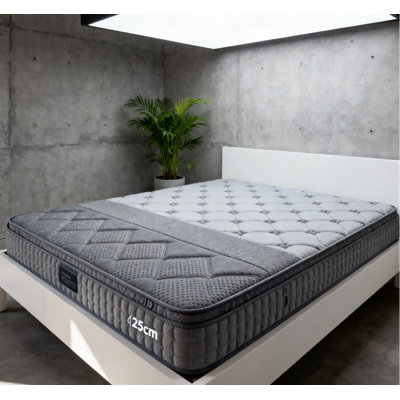 Mattress by Alwyn Home