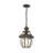 Alexavier Outdoor Hanging Lantern-809966412